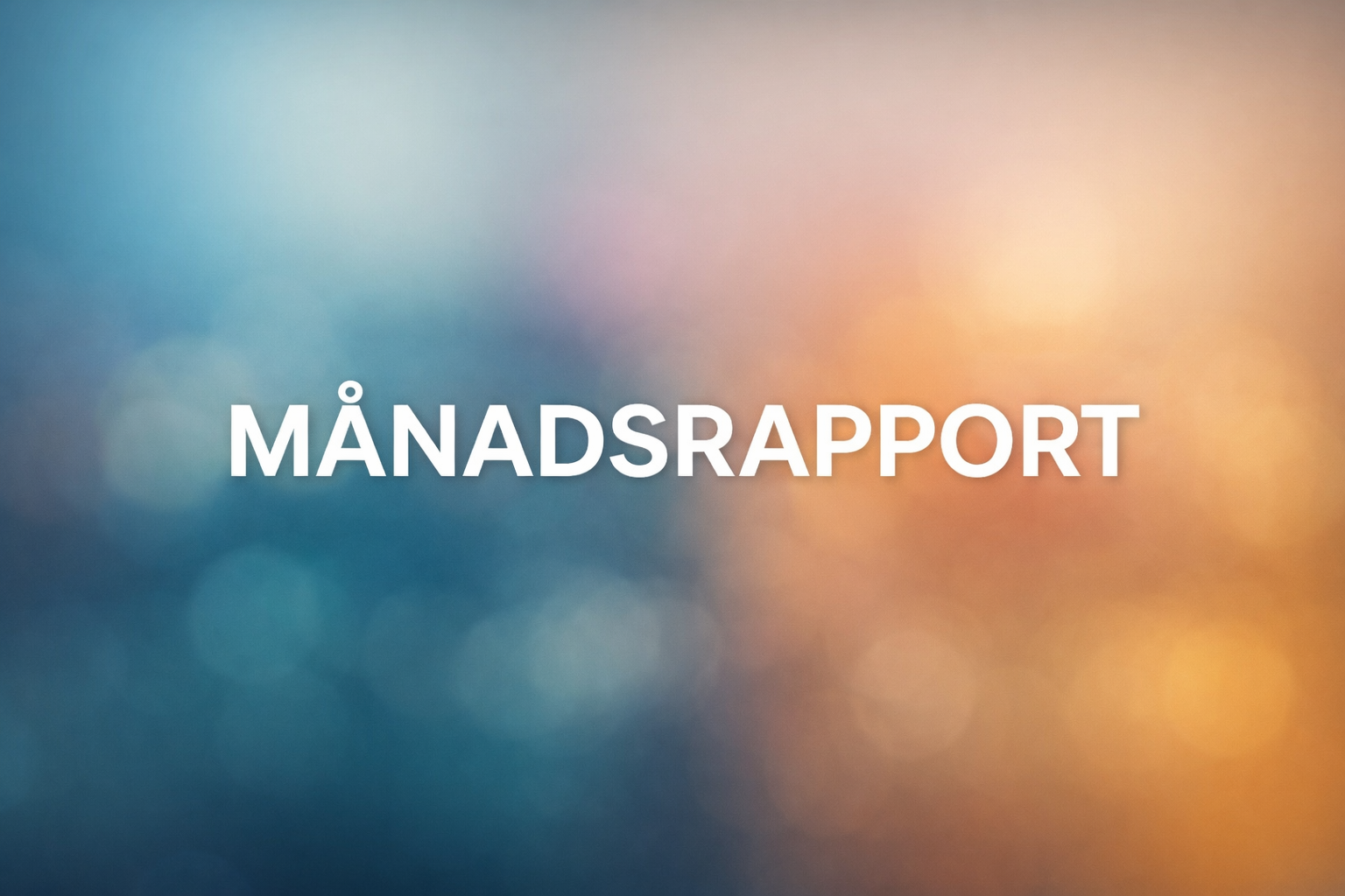 Månadsrapport - December