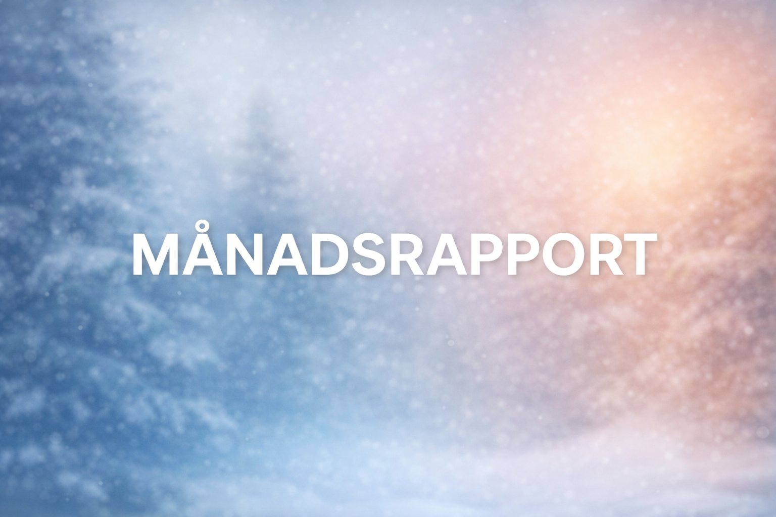 Månadsrapport januari 2026 – Rekordstart & stark tillväxt